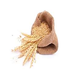 Wheat Gujrat Sihore (Loose)